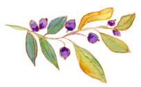 Floral Decoration
